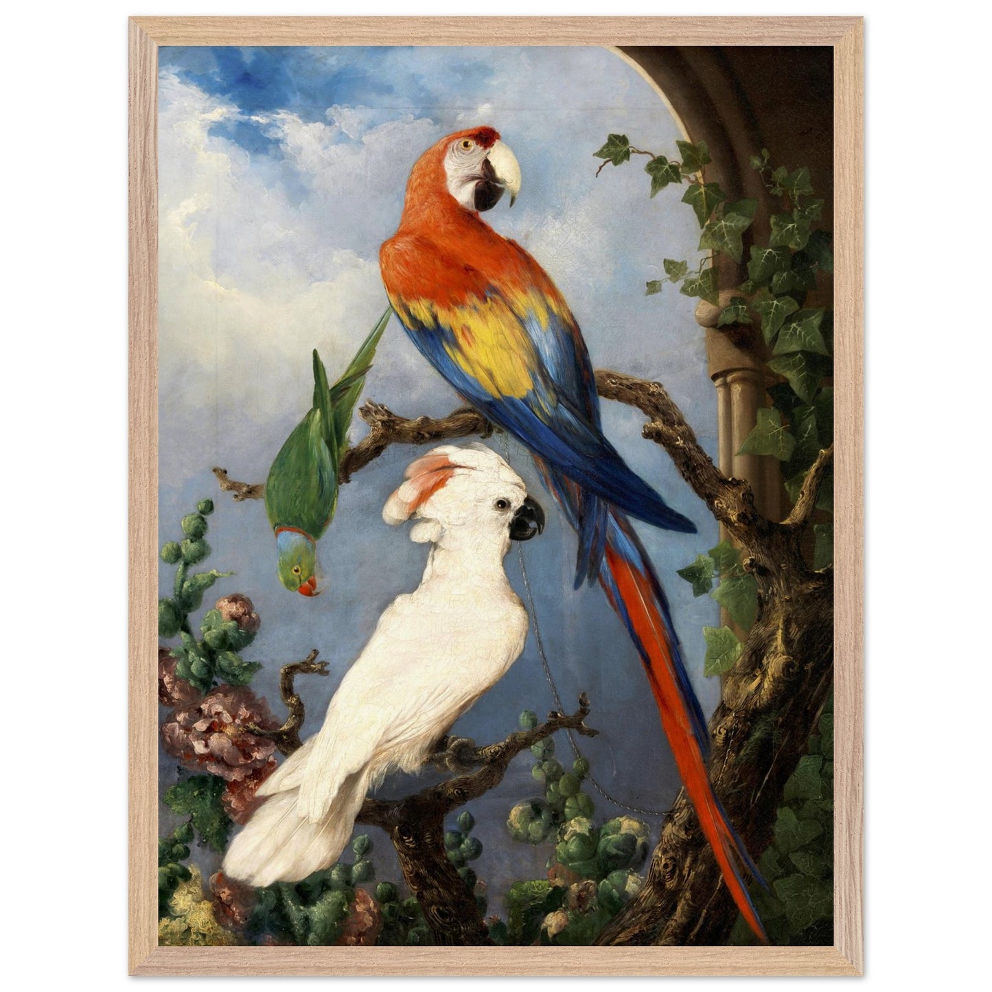 Paroquets – Edward Murphy Art Print – view 16 | Buy Irish Art