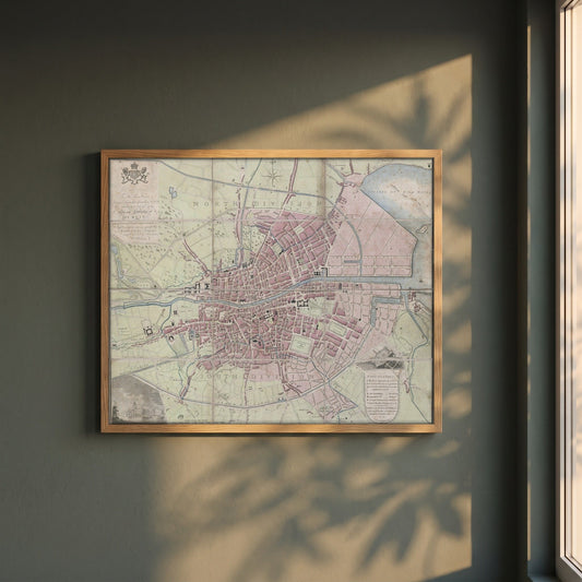 1798 Dublin Map framed print in a natural oak frame on a dark green wall beside a window, dappled plant shadow