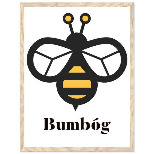 Bumbóg bumblebee print in a light oak frame, black and yellow bee with the Irish word Bumbóg