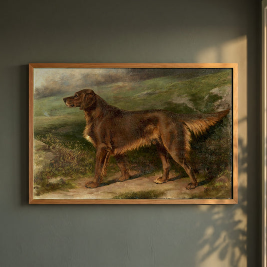 Garryowen, Champion Irish Red Setter framed print in a natural oak frame on a dark green wall beside a window, dappled plant shadow
