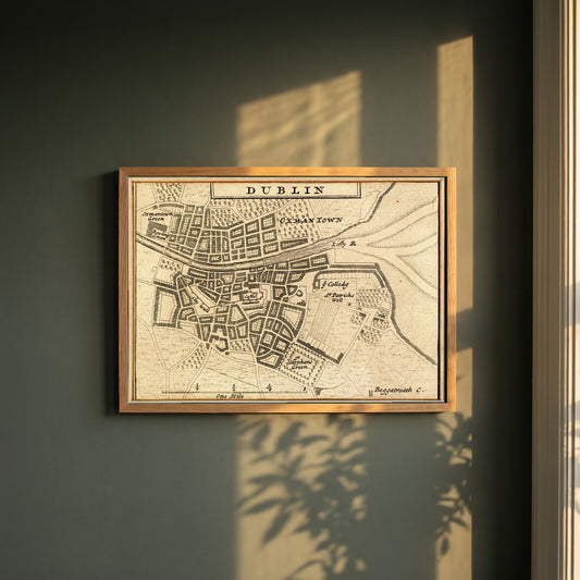 Map of Dublin City in 1714 framed print in a natural oak frame on a dark green wall beside a window, dappled plant shadow