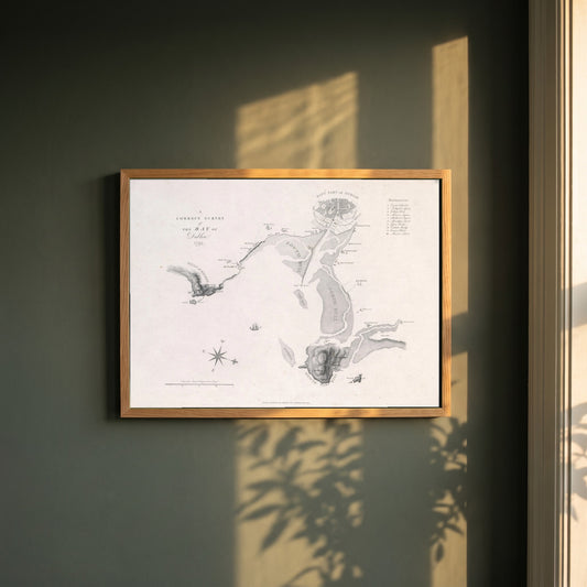 A Correct Survey of the Bay of Dublin, 1795 framed print in a natural oak frame on a dark green wall beside a window, dappled plant shadow