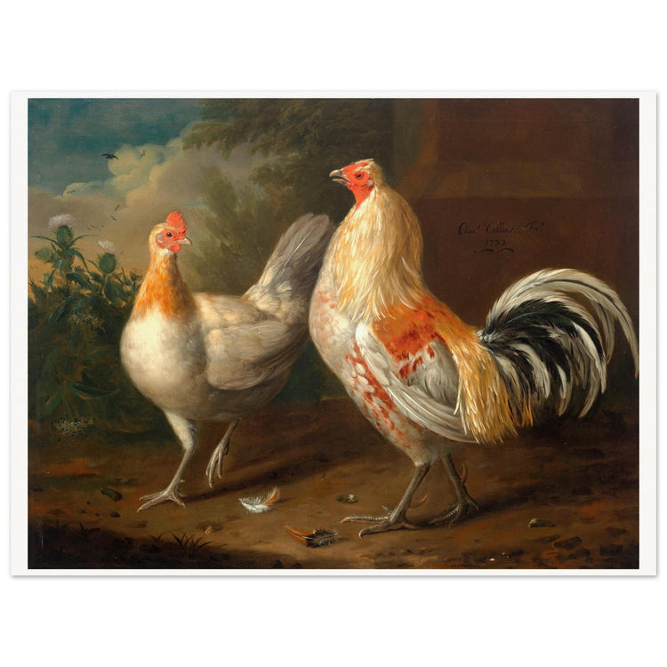 A Sporting Cockerel and Hen painted by Charles Collins, eighteenth-century Irish still life artist