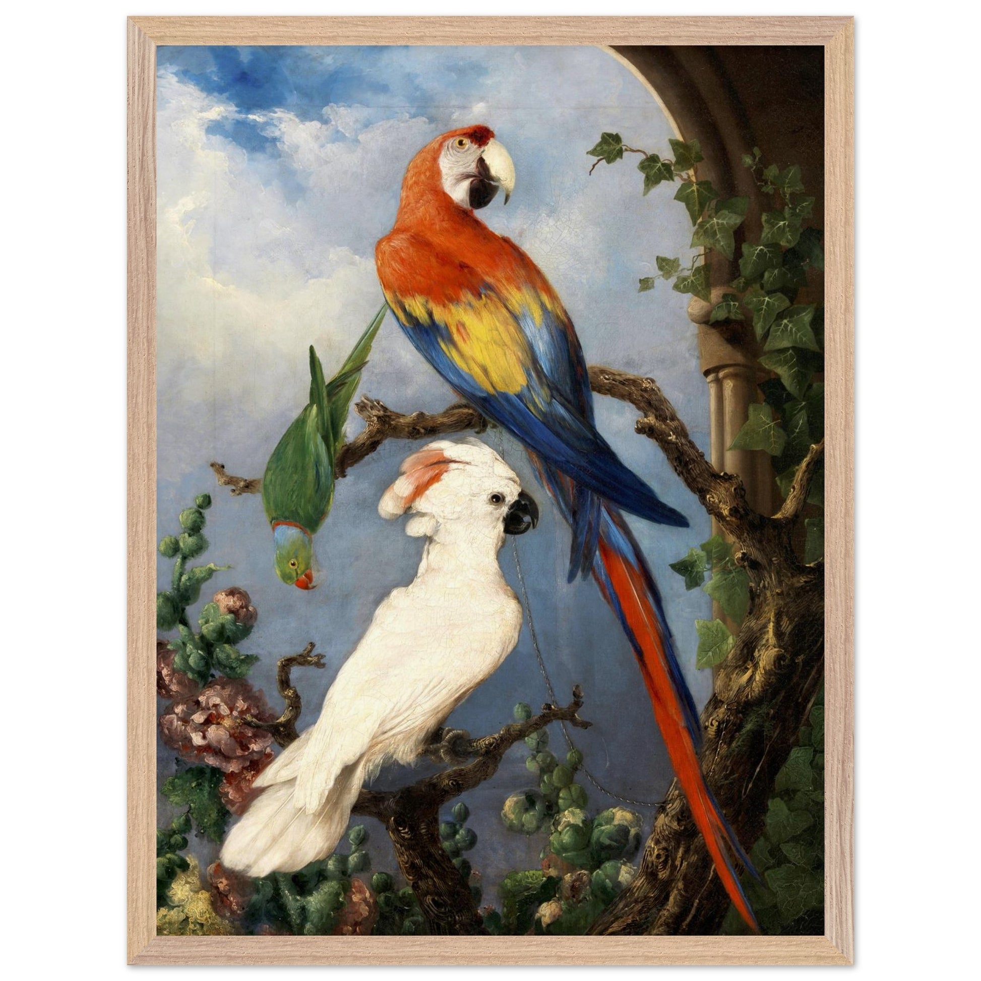 Paroquets – Edward Murphy Art Print – view 16 | Buy Irish Art