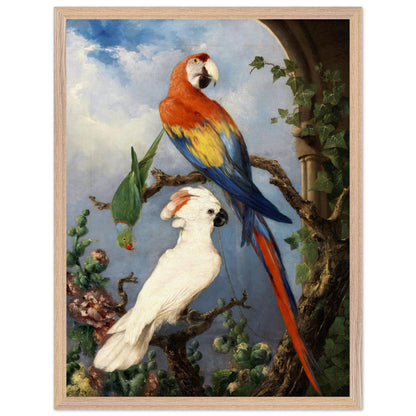 Paroquets – Edward Murphy Art Print – view 16 | Buy Irish Art