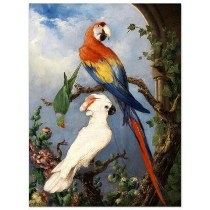 Paroquets – Edward Murphy Art Print – view 10 | Buy Irish Art