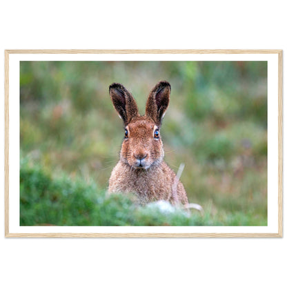 26b16104-06e5-4e6d-96ed-a501e276d264