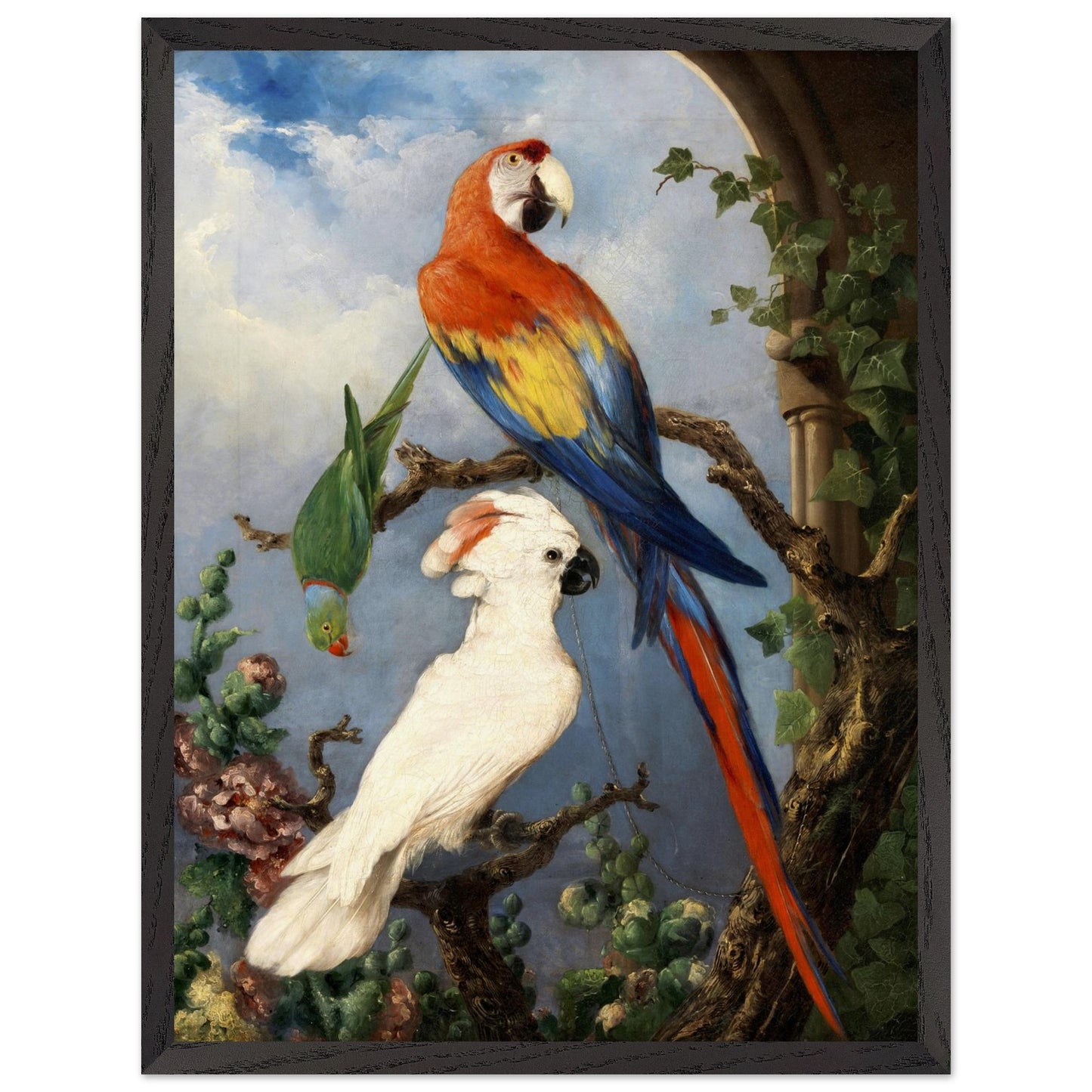 Paroquets – Edward Murphy Art Print – view 8 | Buy Irish Art