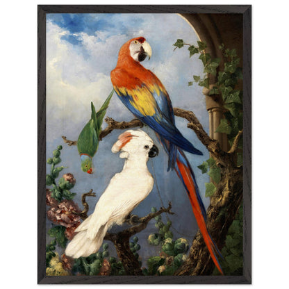 Paroquets – Edward Murphy Art Print – view 8 | Buy Irish Art