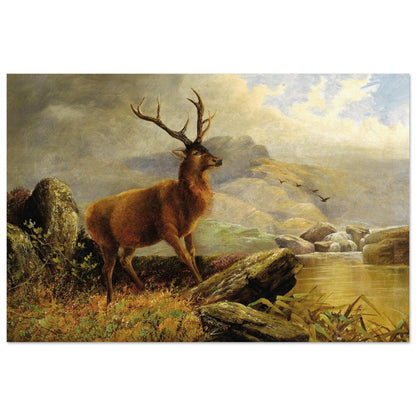 3695c284-e689-4def-b2e0-3d9b20d7309e