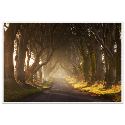 69acea6b-d933-4d6d-a607-fc7b4266e43e