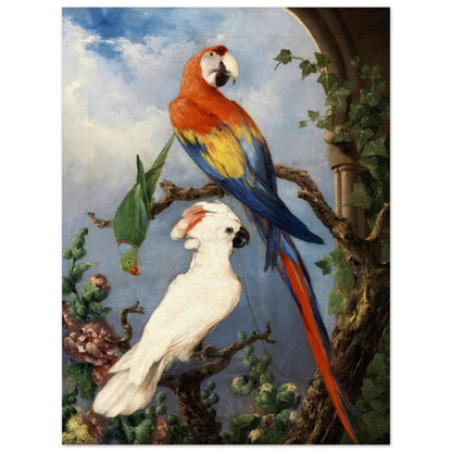 Paroquets – Edward Murphy Art Print – view 14 | Buy Irish Art