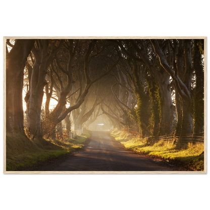 721261d3-2f93-484f-9421-a6efb99ed05a