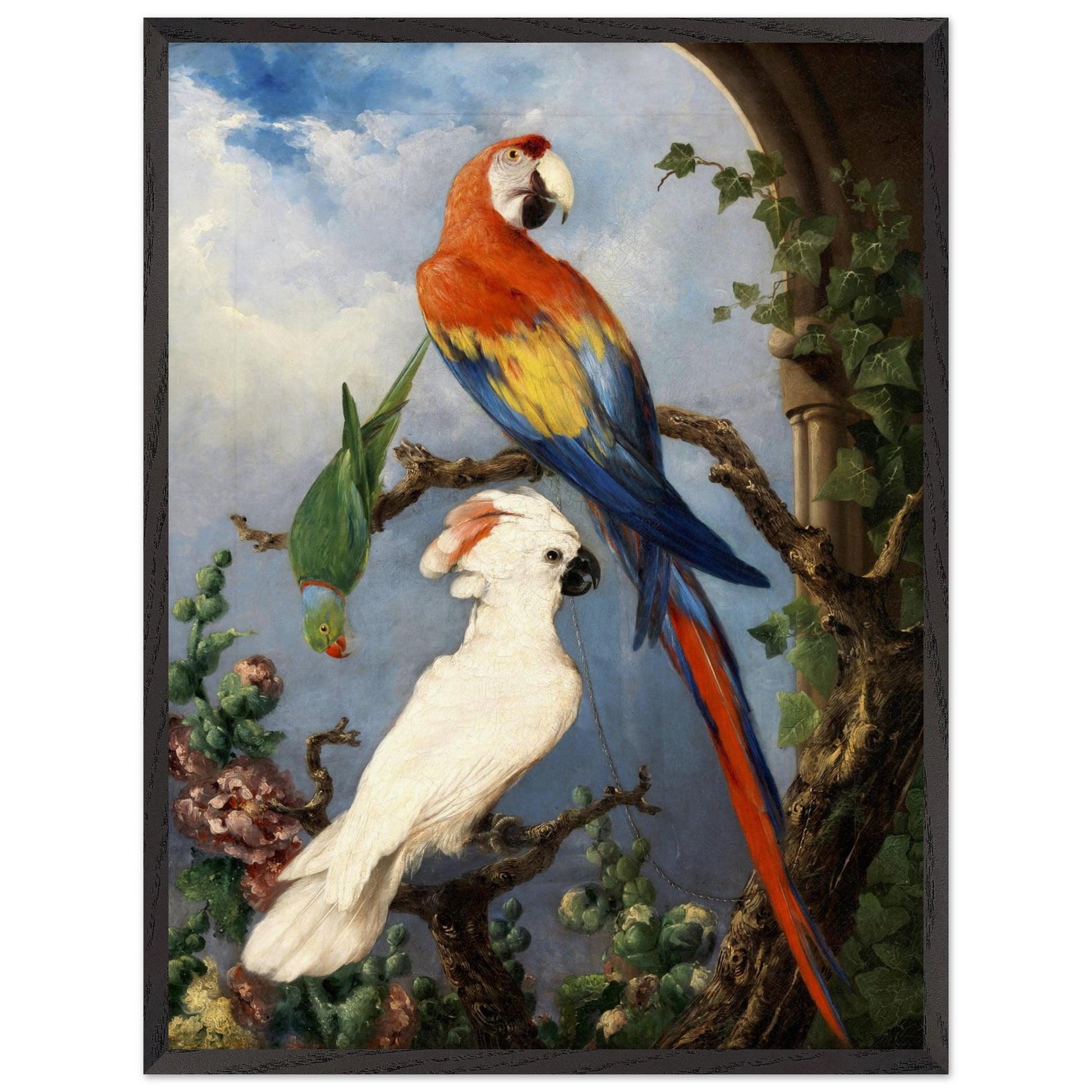 Paroquets – Edward Murphy Art Print – view 7 | Buy Irish Art