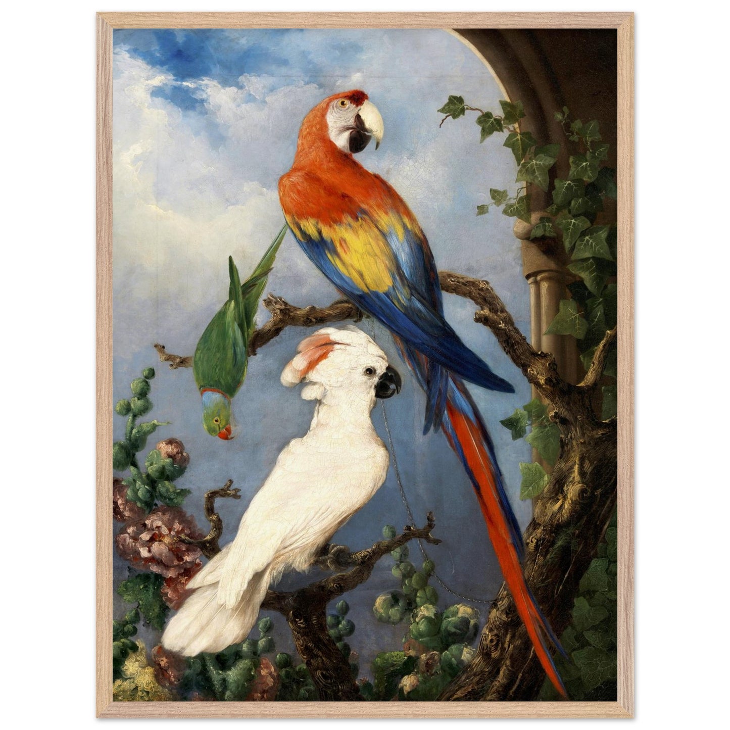 Paroquets – Edward Murphy Art Print – view 6 | Buy Irish Art