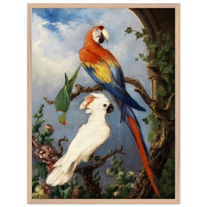 Paroquets – Edward Murphy Art Print – view 6 | Buy Irish Art