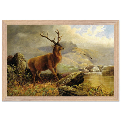 b9d51d1a-212d-4d10-84cb-900184da9494