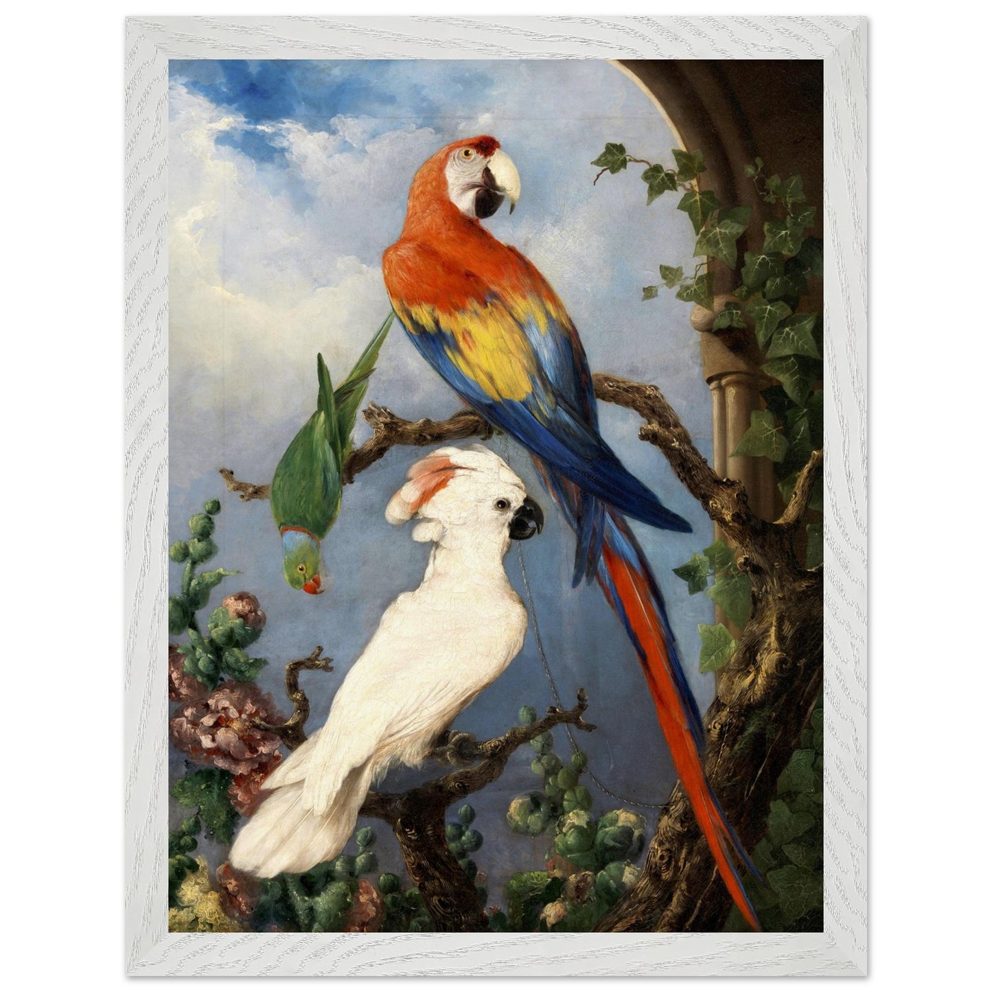 Paroquets – Edward Murphy Art Print – view 15 | Buy Irish Art