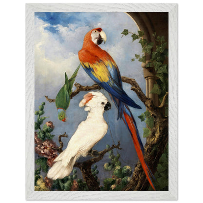 Paroquets – Edward Murphy Art Print – view 15 | Buy Irish Art