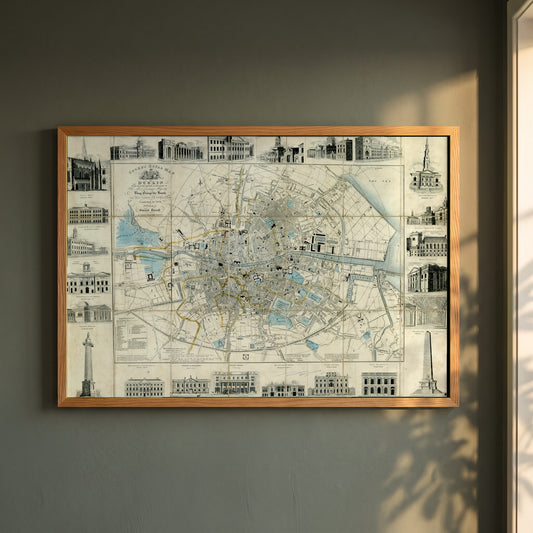 Cooke's Royal Map of Dublin framed print in a natural oak frame on a dark green wall beside a window, dappled plant shadow