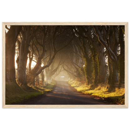 d2b55a27-a486-42f7-a213-878d6908c4d4