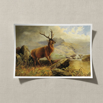 dadb7c2b-b05a-412d-8596-0475d51d0c8d