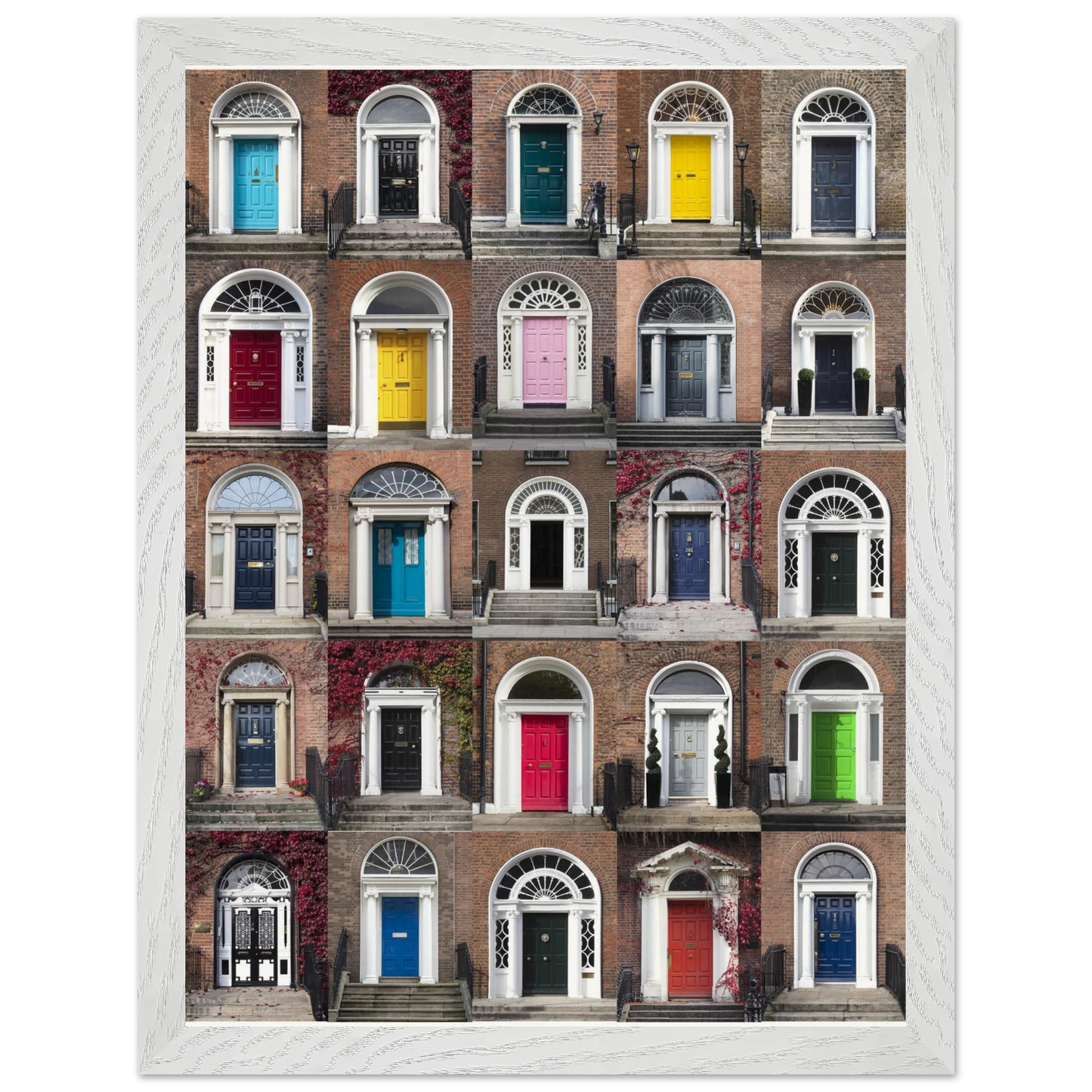 Museum-quality Dublin doors poster with shatterproof plexiglass