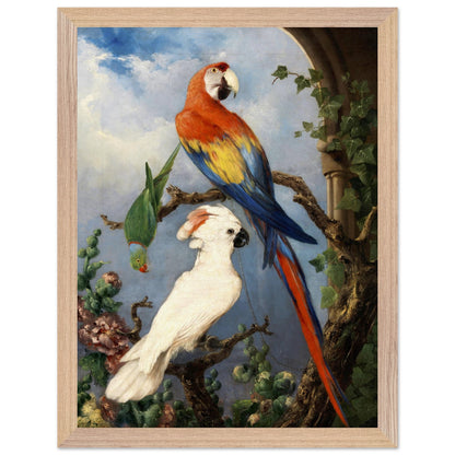 Paroquets – Edward Murphy Art Print – view 9 | Buy Irish Art