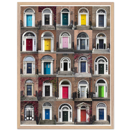 Doors of Dublin wall art collage in premium ash wood frame