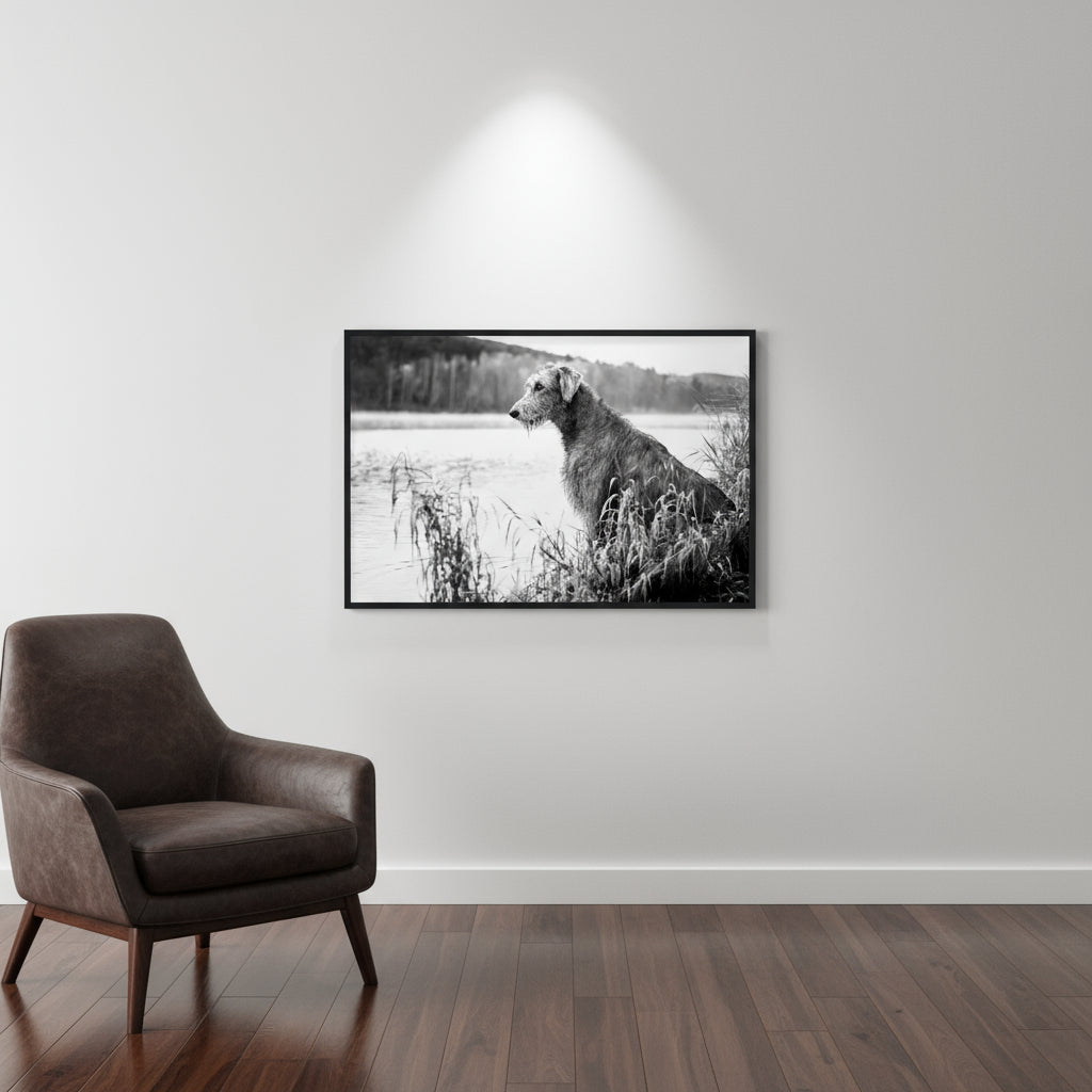 Black and white Irish Wolfhound print in a black frame on a white wall beside a leather armchair