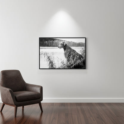 Black and white Irish Wolfhound print in a black frame on a white wall beside a leather armchair