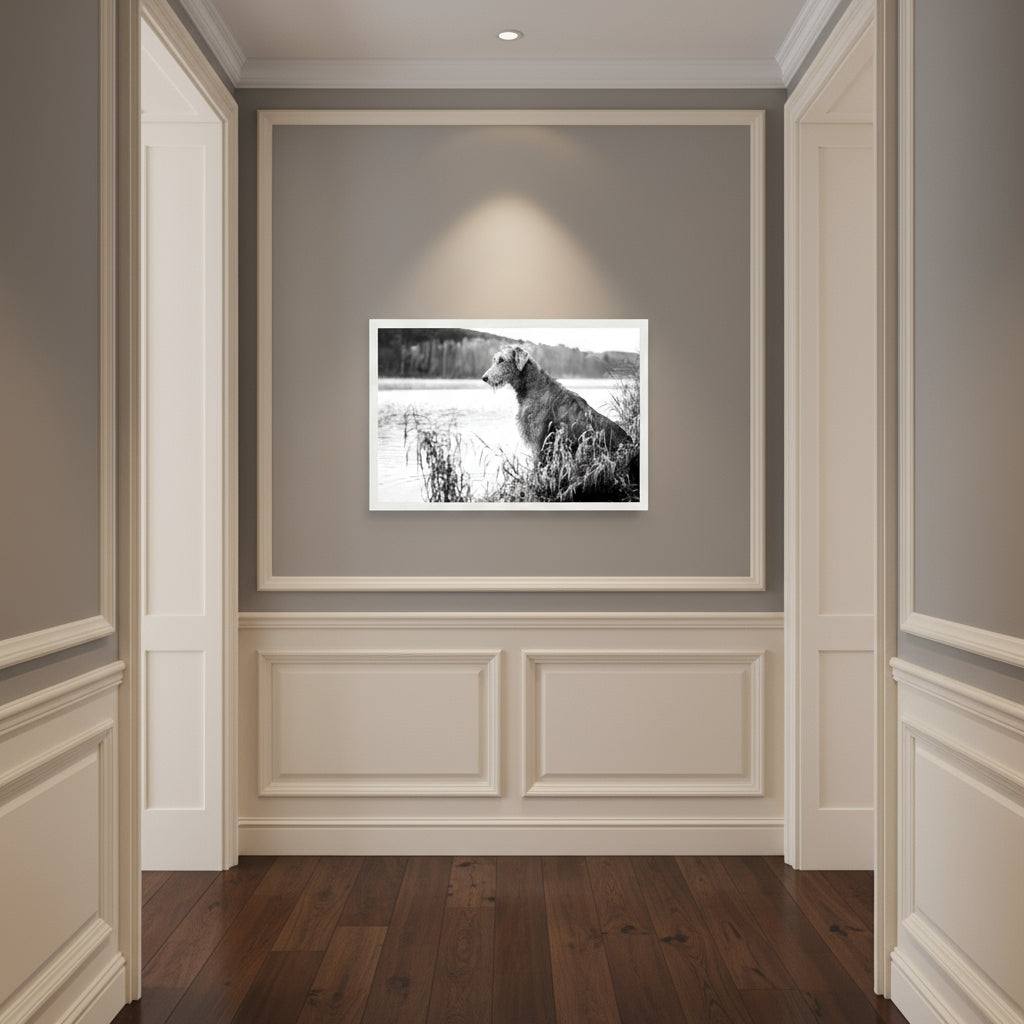 Irish Wolfhound framed print in a white frame at the end of a panelled hallway