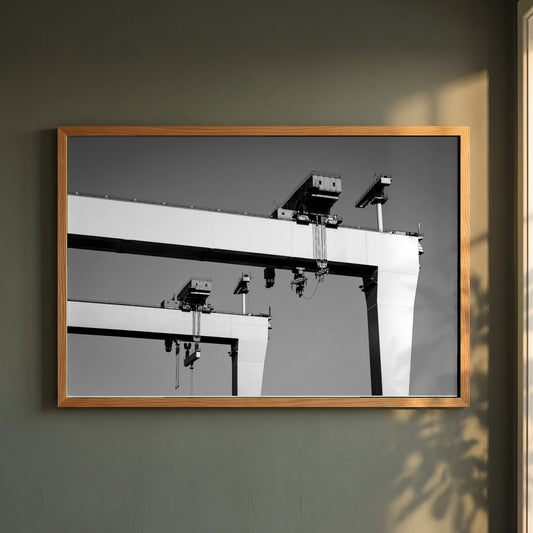 Harland & Wolff Cranes, Belfast framed print in a natural oak frame on a dark green wall beside a window, dappled plant shadow