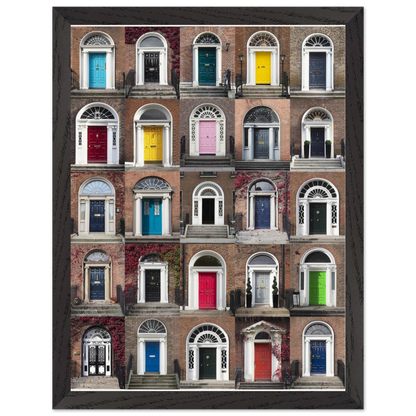 Irish architecture print – iconic Dublin doors in sustainable wooden frame