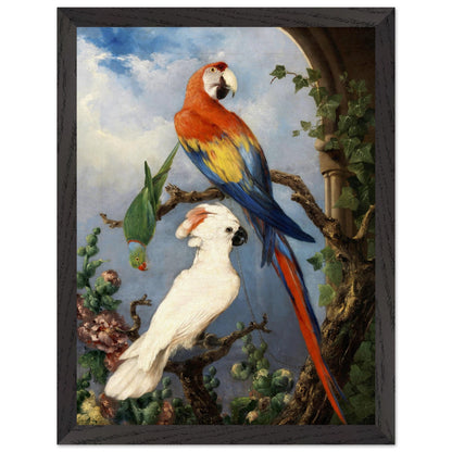 Paroquets Edward Henry Murphy framed art print in black frame