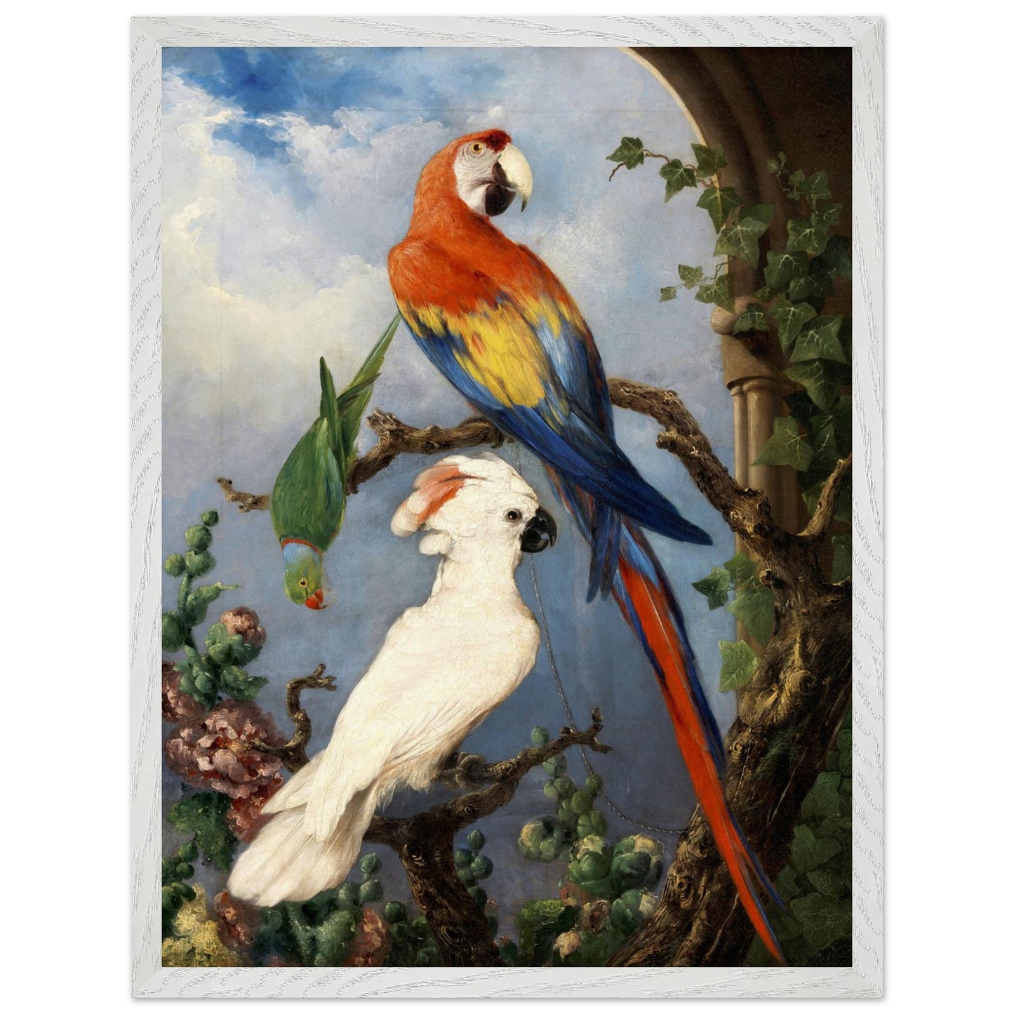 Paroquets Edward Henry Murphy framed art print in white frame