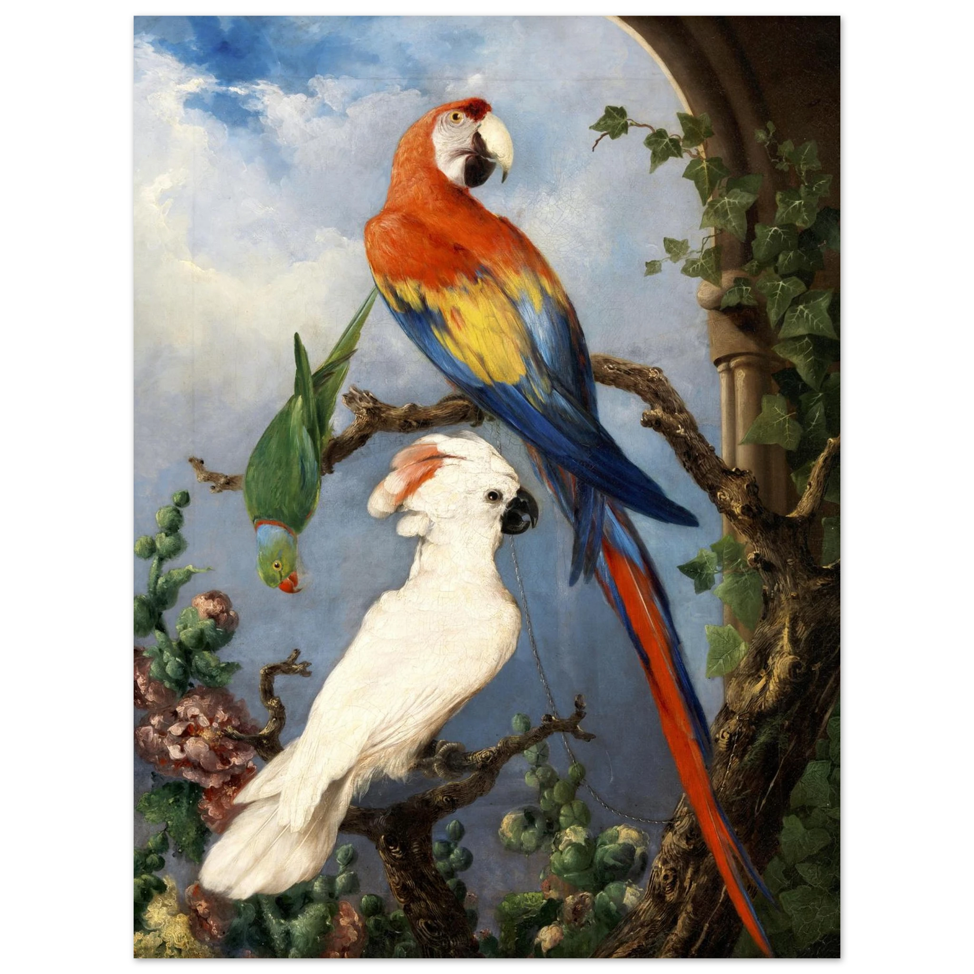 Paroquets by Edward Henry Murphy archival giclée art print (unframed)